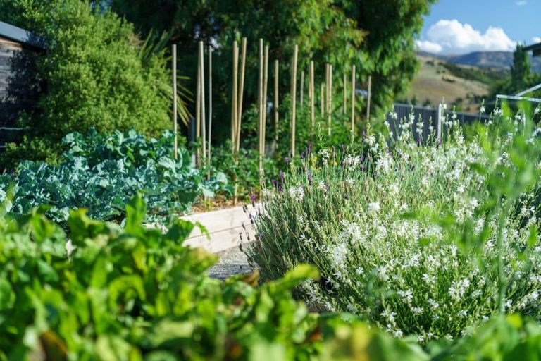 Photo of property in 153 Main Road, Luggate, Cromwell, 9383