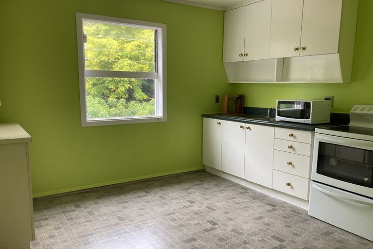 Photo of property in 43 Honiana Te Puni Street, Aro Valley, Wellington, 6021