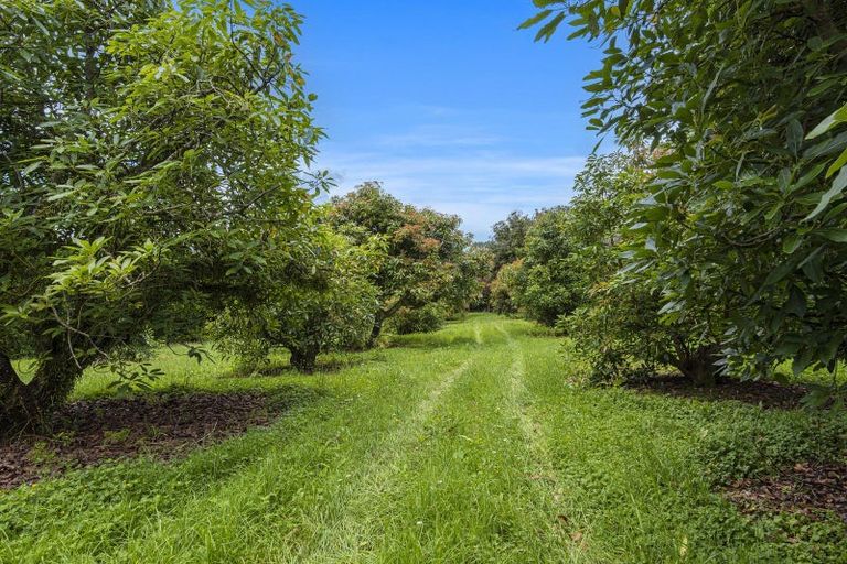 Photo of property in 161 Newton Road, Maungatapere, Whangarei, 0170