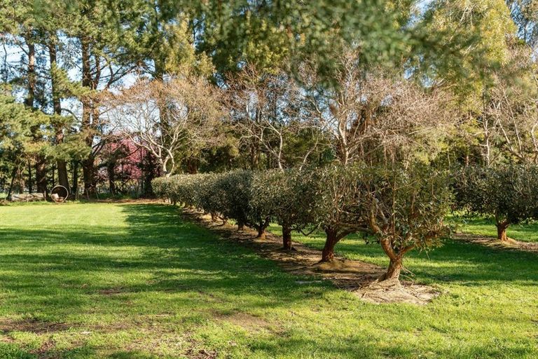 Photo of property in 250 Upper Manaia Road, Upper Plain, Masterton, 5888