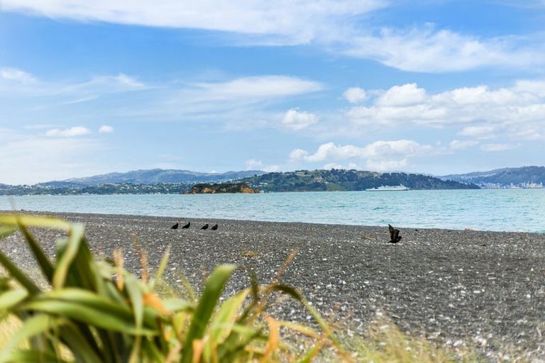 Photo of property in 105 Marine Parade, Eastbourne, Lower Hutt, 5013