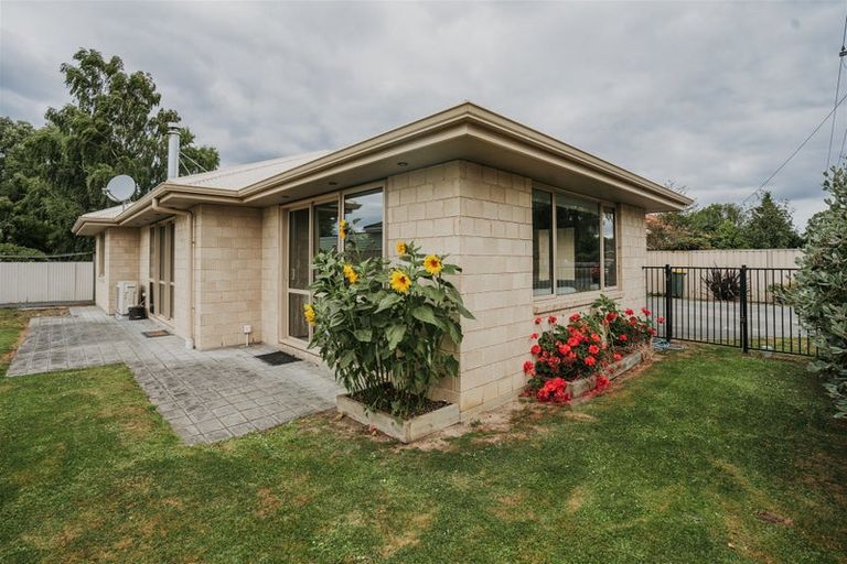 Photo of property in 19 Burns Street, Milton, 9220