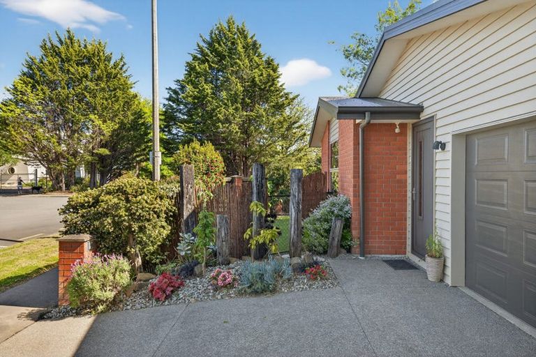 Photo of property in 20 Lindores Street, Addington, Christchurch, 8024