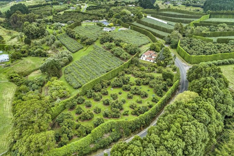 Photo of property in 21 Plummer Road, Whakamarama, Tauranga, 3179