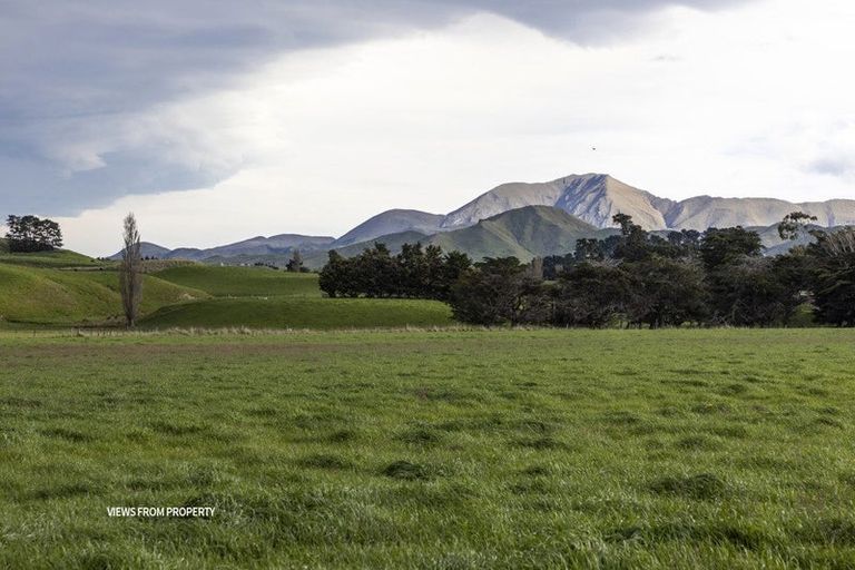 Photo of property in 18 Clermont Street, Ward, Seddon, 7285