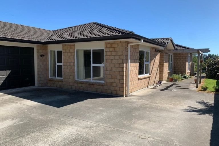 Photo of property in 41 Merlot Drive, Pyes Pa, Tauranga, 3112