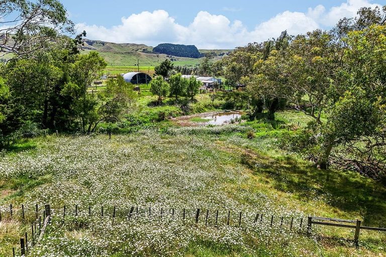 Photo of property in 603 Te Akau Road South, Te Akau, Ngaruawahia, 3793