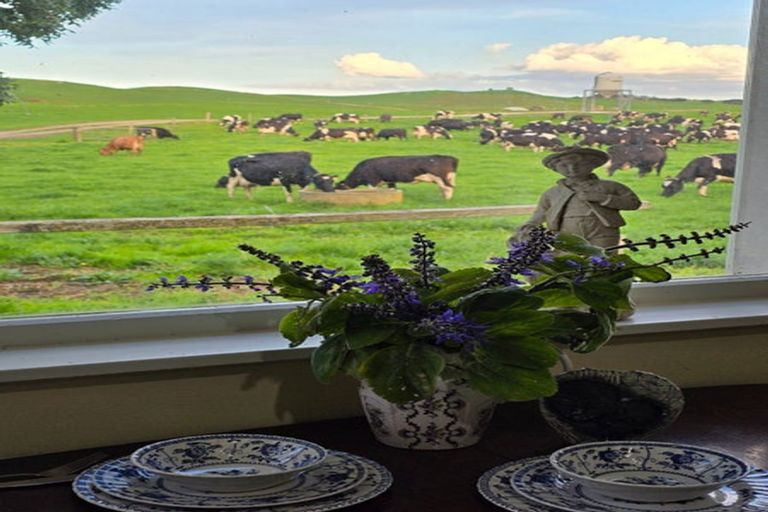 Photo of property in 880 Okahukura Road, Tapora, Wellsford, 0977