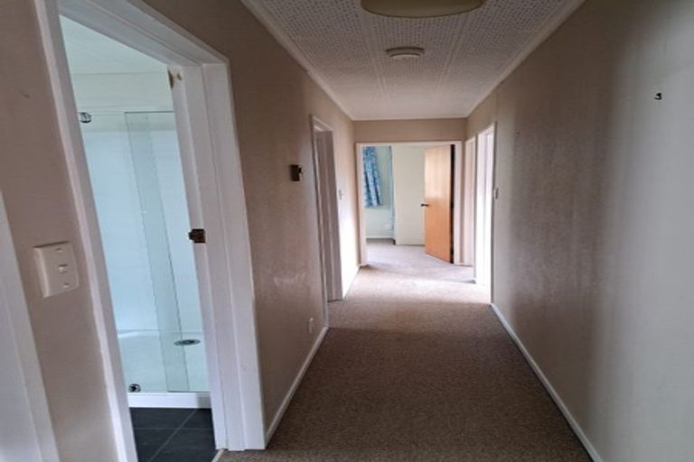 Photo of property in 33 Baldwin Street, North East Valley, Dunedin, 9010