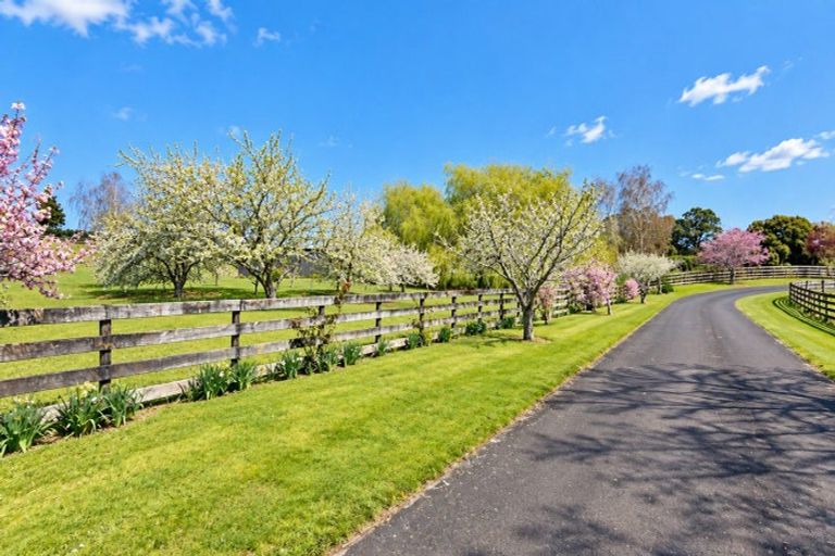 Photo of property in 17 Orchard Road, Te Kauwhata, 3782