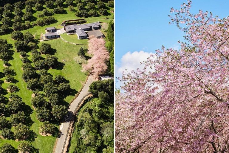 Photo of property in 11f Stokes Road, Tahawai, Katikati, 3170