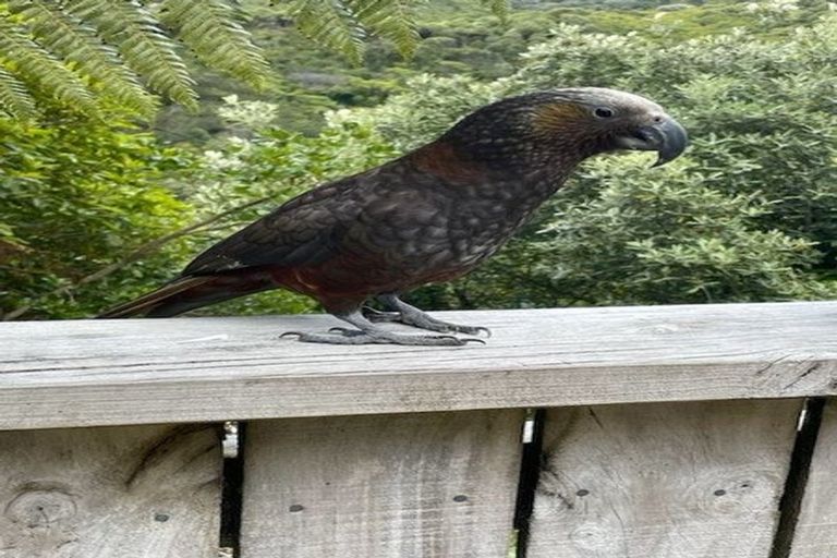 Photo of property in 46 Mount Pleasant Road, Aro Valley, Wellington, 6012