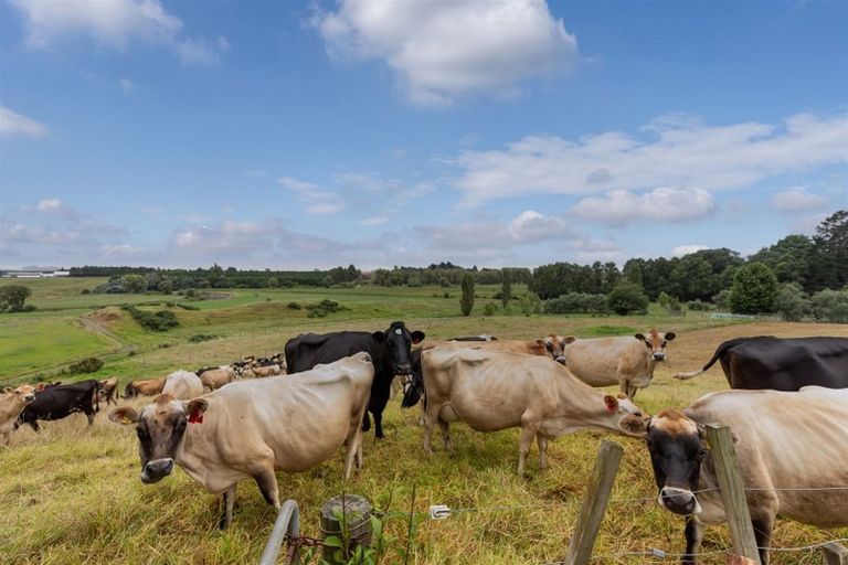 Photo of property in 138c Gulliver Road, Paengaroa, Te Puke, 3186