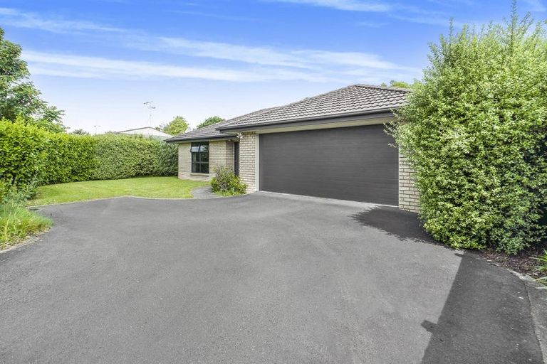 Photo of property in 20a Bains Avenue, Hamilton East, Hamilton, 3216