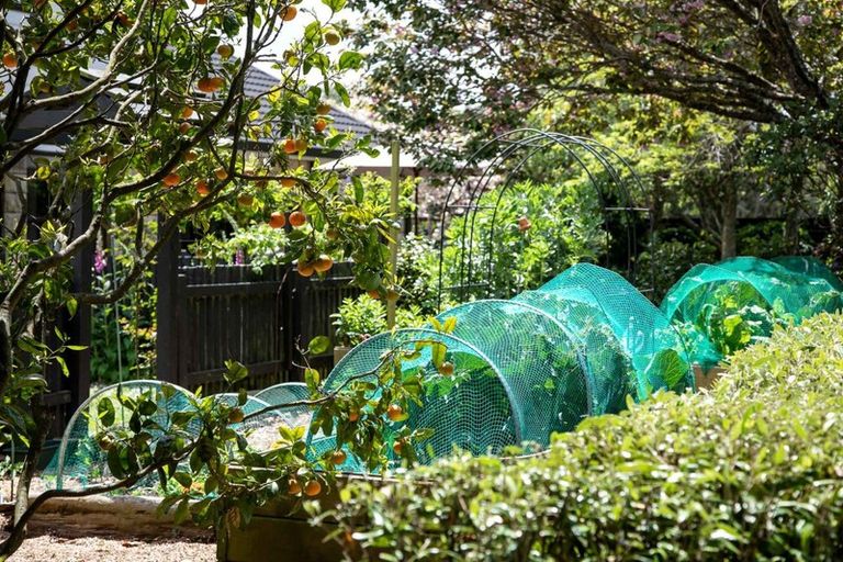 Photo of property in 248 Oeo Road, Otakeho, Hawera, 4678