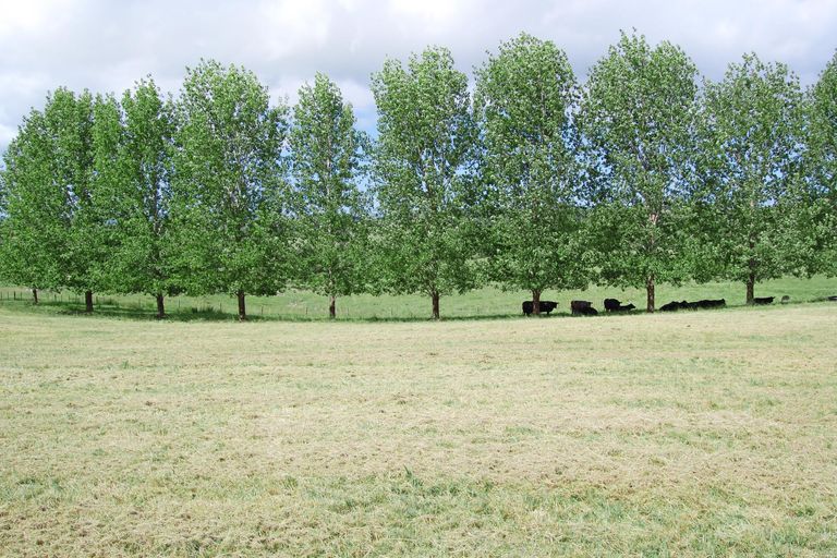 Photo of property in 72 Rangiora Road, Kaiwaka, 0573