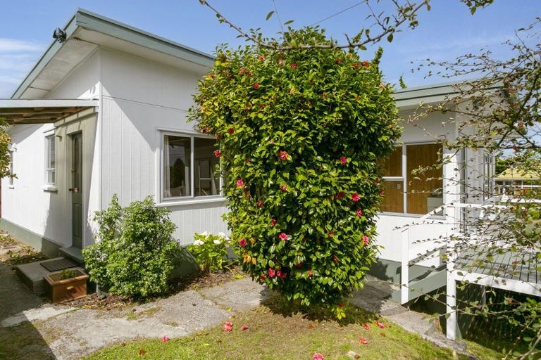 Photo of property in 15 Waitahanui Avenue, Taupo, 3330