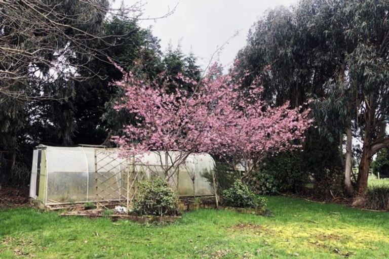 Photo of property in 208 Coggins Road, New River Ferry, Invercargill, 9879