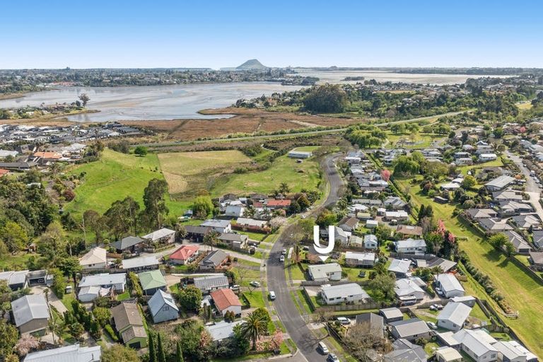 Photo of property in 71 Harrisfield Drive, Hairini, Tauranga, 3112
