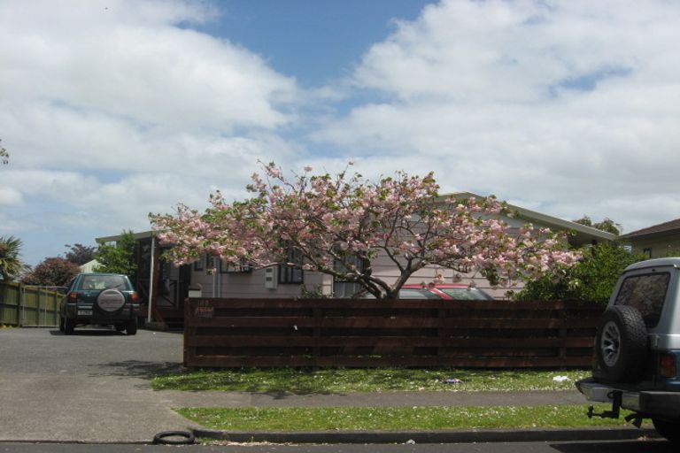 Photo of property in 169 Finlayson Avenue, Clendon Park, Auckland, 2103