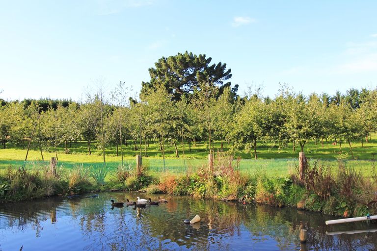 Photo of property in 109 Frew Road, Herbert, Oamaru, 9495