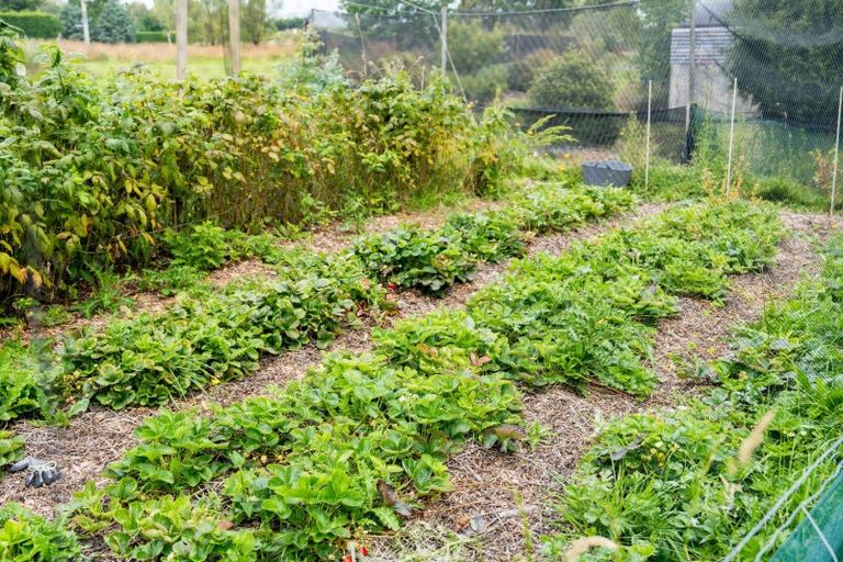 Photo of property in 438 Riccarton Road West, North Taieri, Mosgiel, 9092