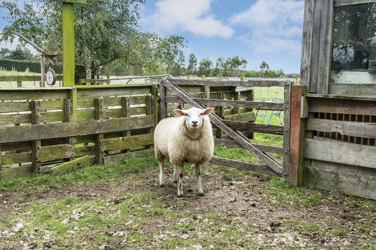 Photo of property in 270 Stokes Road, Balcairn, Amberley, 7481