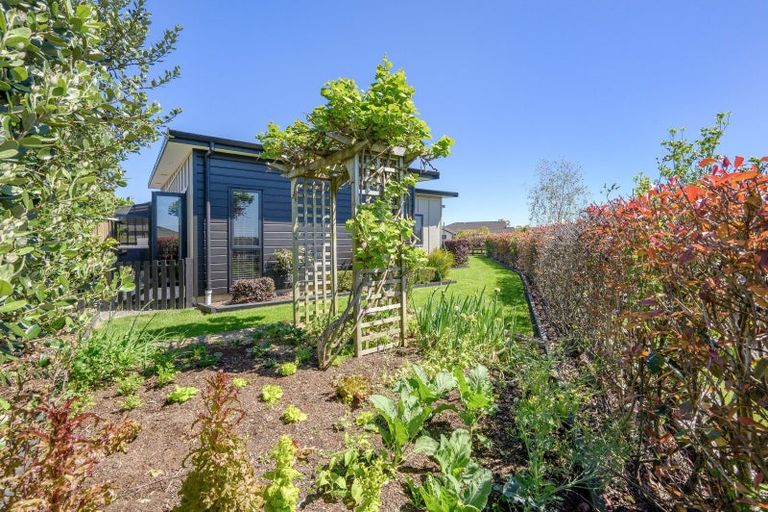Photo of property in 2 Benmore Crescent, Pyes Pa, Tauranga, 3112