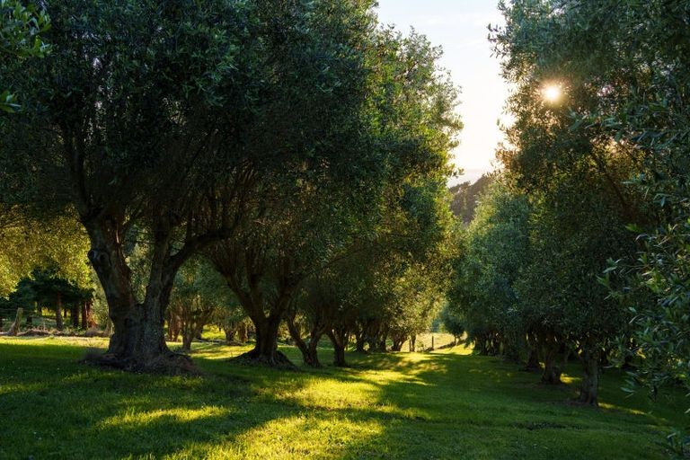 Photo of property in 36 Sirrah Street, Okitu, Gisborne, 4010