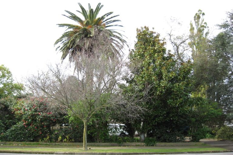 Photo of property in 404 Alexandra Street, Hastings, 4122