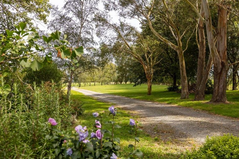 Photo of property in 119 Te Whiti Sett Road, Te Whiti, Masterton, 5884