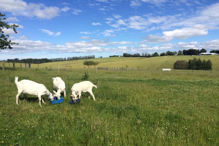 Photo of property in 86 Totara Island Road, Clifton, Balclutha, 9273