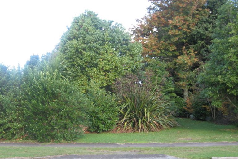 Photo of property in 22 Arapuni Road, Arapuni, Putaruru, 3415