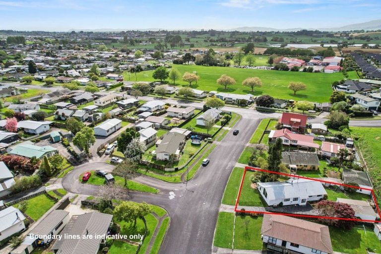 Photo of property in 59 Sinclair Terrace, Te Awamutu, 3800