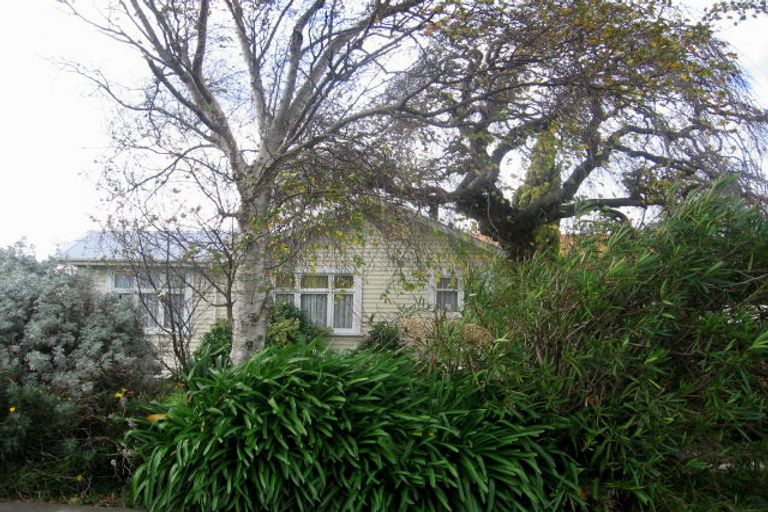 Photo of property in 203 Botanical Road, Takaro, Palmerston North, 4412