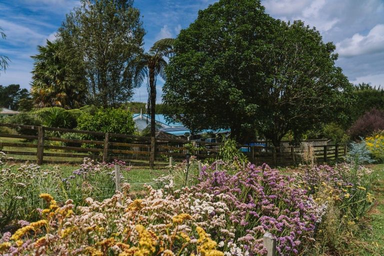 Photo of property in 259 Wainui Road South, Whakamarama, Katikati, 3181