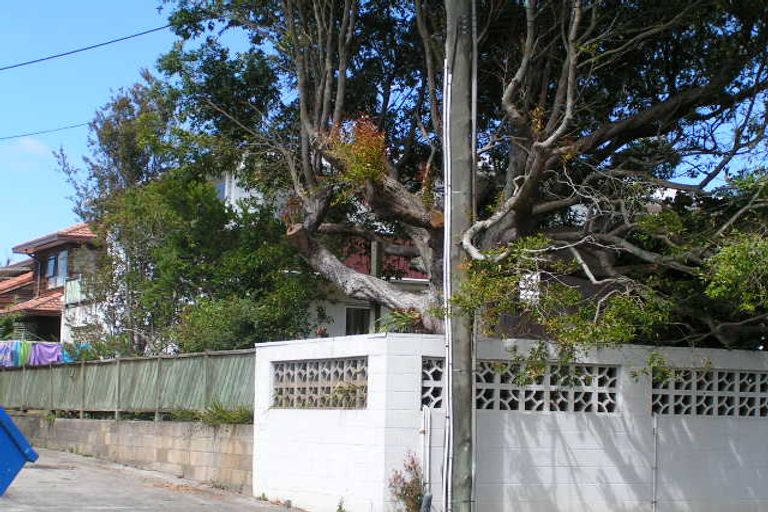 Photo of property in 1/11 Park Avenue, Northcote, Auckland, 0626