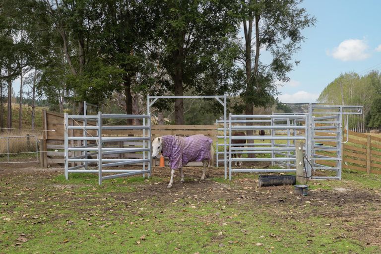 Photo of property in 41 Breakneck Road, Herbert, Oamaru, 9495