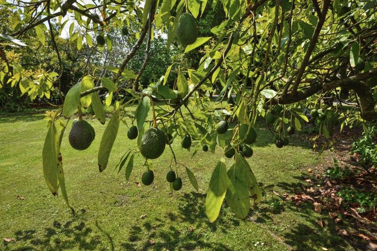 Photo of property in 13 Waingake Road, Manutuke, 4072