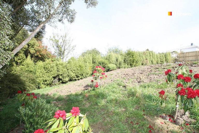 Photo of property in 44 Newport Street, Belleknowes, Dunedin, 9011