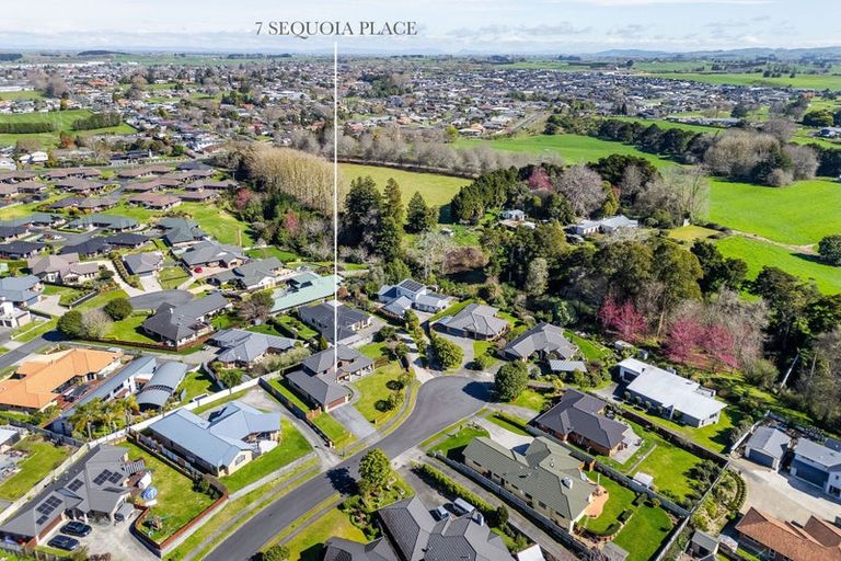 Photo of property in 7 Sequoia Place, Morrinsville, 3300