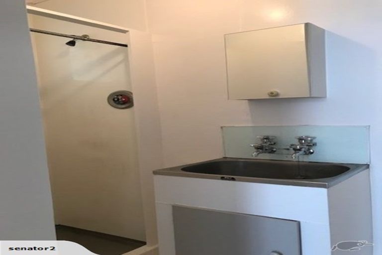 Photo of property in 3/22 Hargreaves Street, Mount Cook, Wellington, 6021