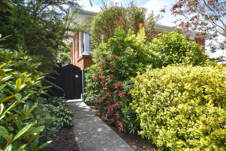 Photo of property in 56 Woodhaugh Street, Woodhaugh, Dunedin, 9010