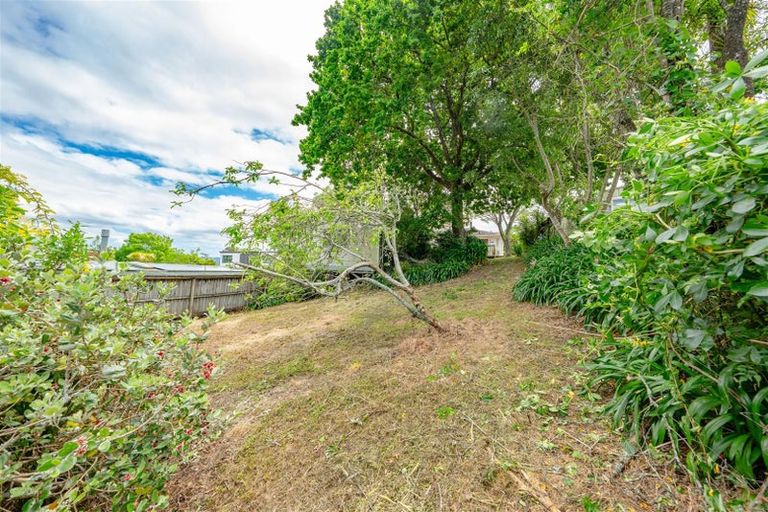 Photo of property in 31 Takapu Street, Henderson, Auckland, 0612