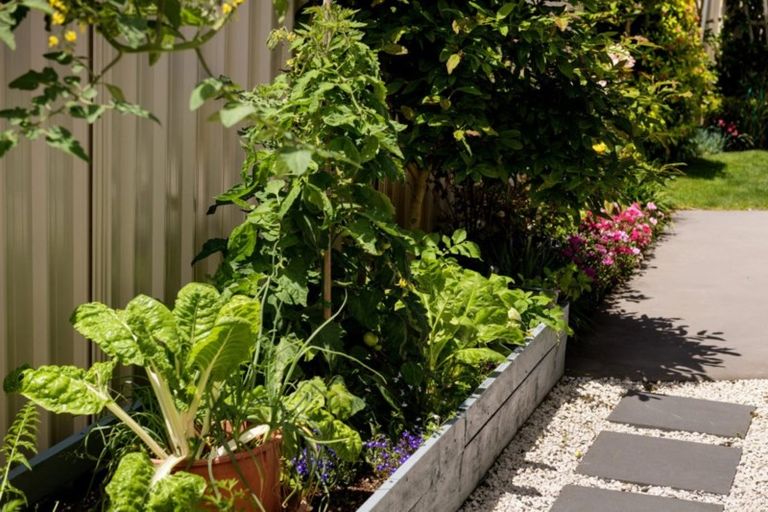 Photo of property in 2 Seashell Drive, Papamoa Beach, Papamoa, 3118