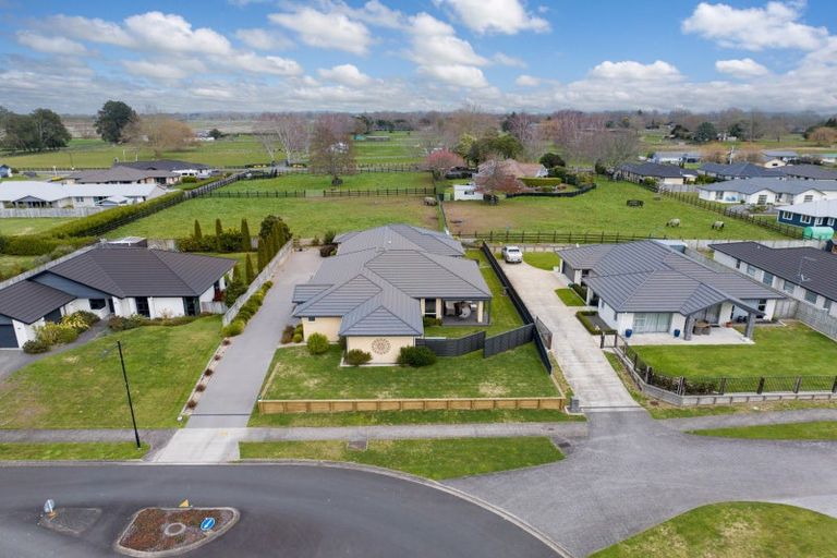 Photo of property in 5 Kelso Place, Matamata, 3400