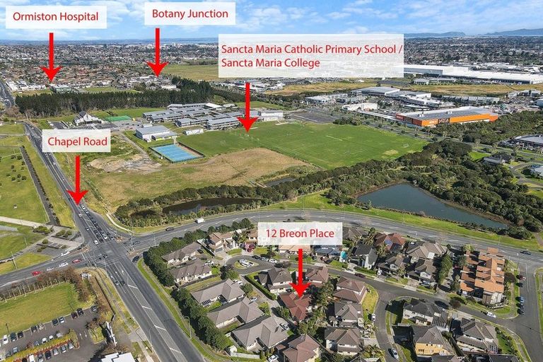 Photo of property in 12 Breon Place, Flat Bush, Auckland, 2016