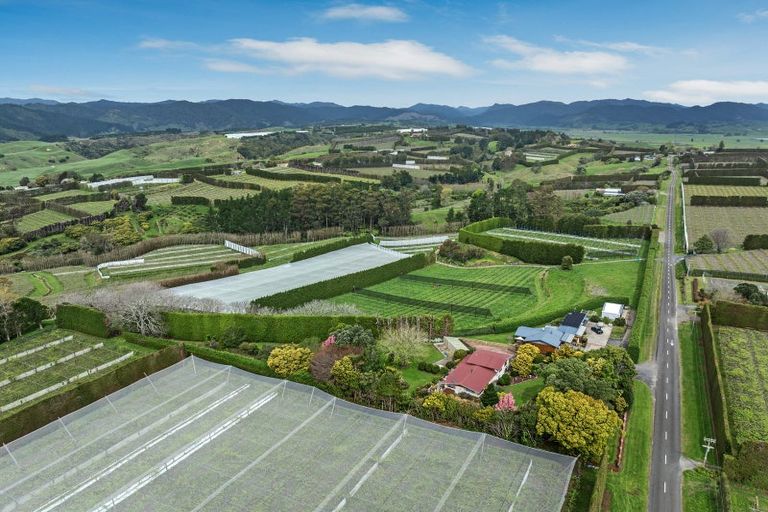 Photo of property in 187 Tablelands Road, Tirohanga, Opotiki, 3197