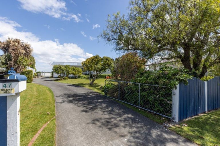 Photo of property in 47 Henley Crescent, Pirimai, Napier, 4112