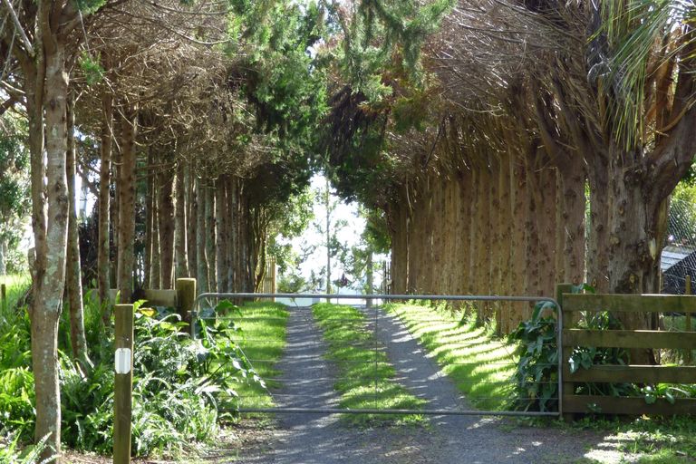 Photo of property in 365 Pungaere Road, Waipapa, Kerikeri, 0295